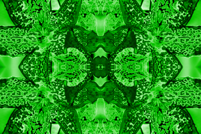 Preview image for "Anahata: The Fourth Chakra" An abstract psychedelic art work and image based on a photograph of an orchid. ©2013 Sacred Square Art and Design.