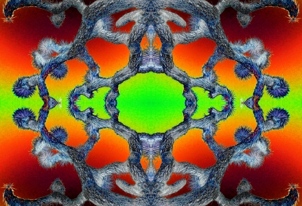 "Joshua Tree: Electric Desert 4" is a psychedelic, visionary abstract art work from the fertile, yet oft-deluded minds of Sacred Square Art and Design. ©2015
